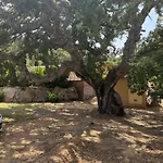 La Bergerie De La Crique Bleue וילה קונקה