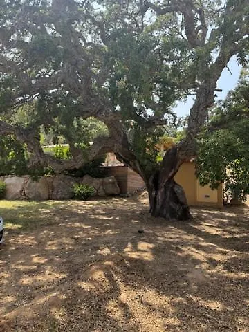 La Bergerie De La Crique Bleue Villa Conca